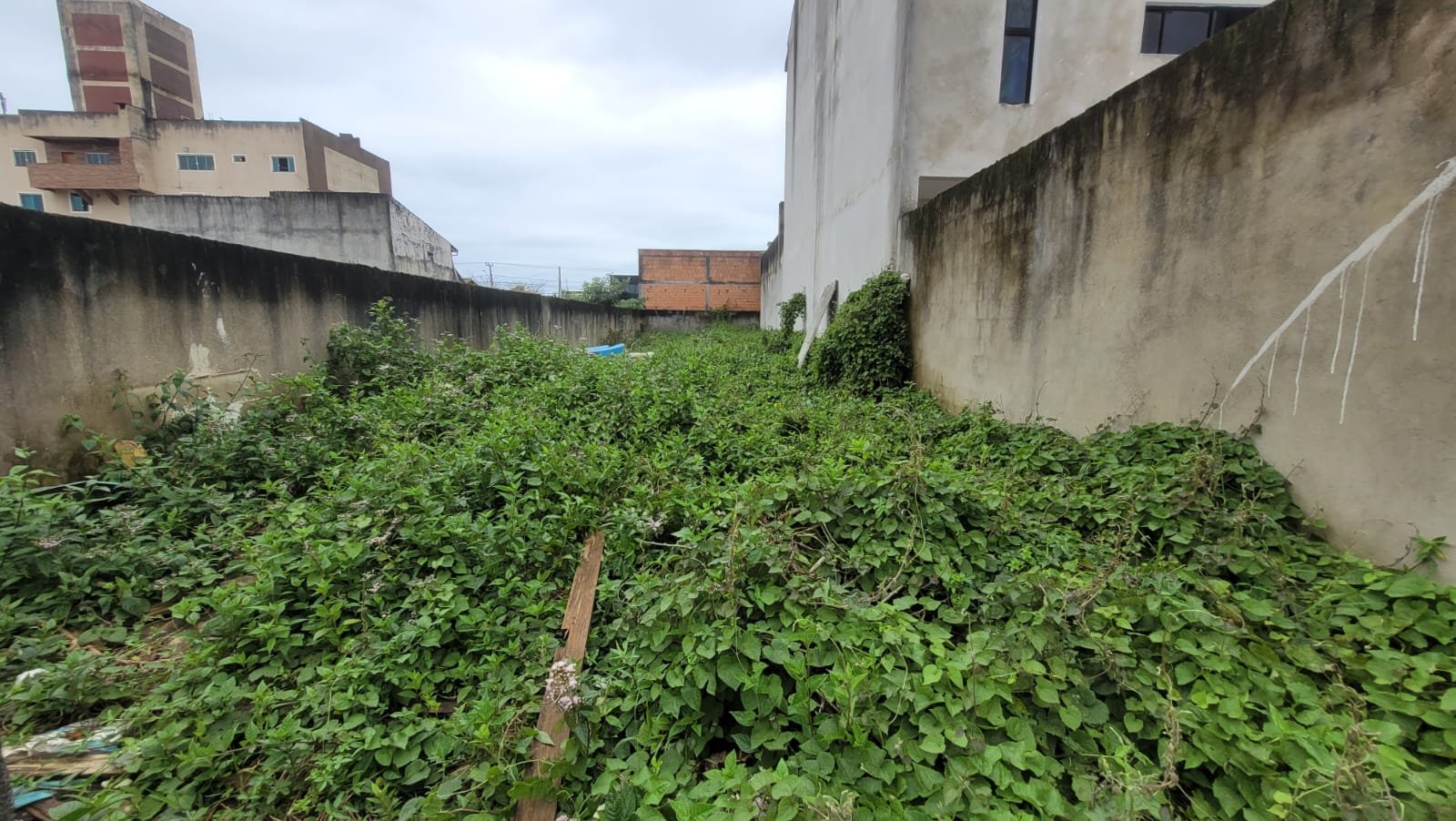 Terreno limpo aterrado