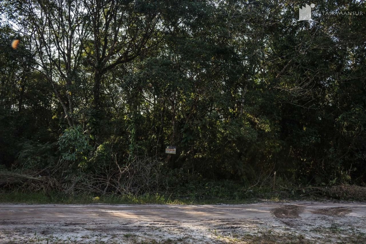 Terrenos com rua aberta e preço imbatível à venda em Itapoá – Foto 15 | Altair Mansur Imóveis Terrenos com rua aberta e preço imbatível à venda em Itapoá