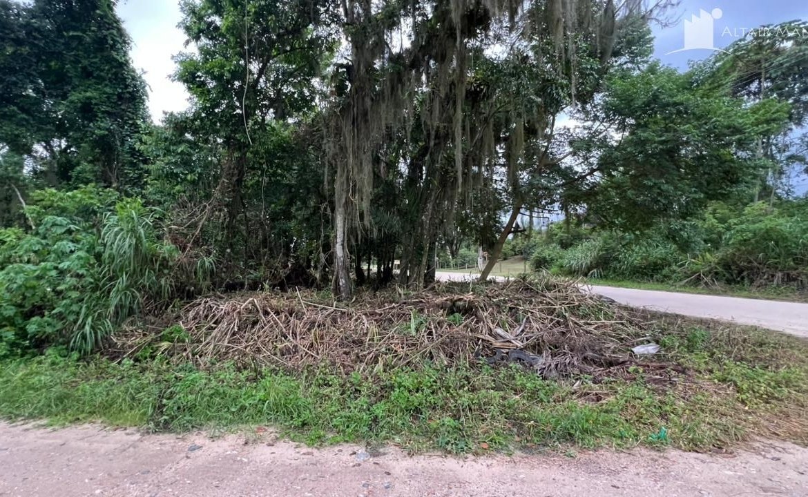 Foto 4 de Terreno à Venda em São Francisco do Sul SC - Bairro Vila da Glória - Altair Mansur Imóveis