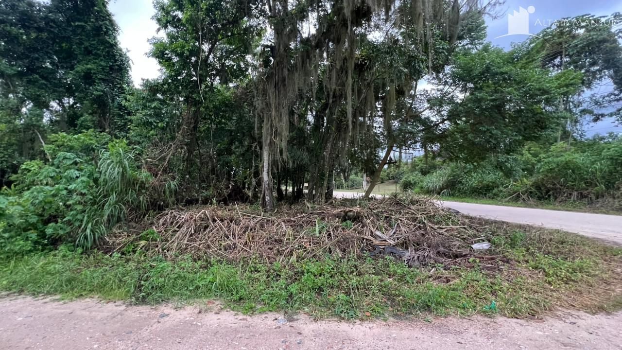 Terreno à Venda em São Francisco do Sul SC – Vila da Glória – Foto 4 | Altair Mansur Imóveis Foto 4 de Terreno à Venda em São Francisco do Sul SC - Bairro Vila da Glória - Altair Mansur Imóveis