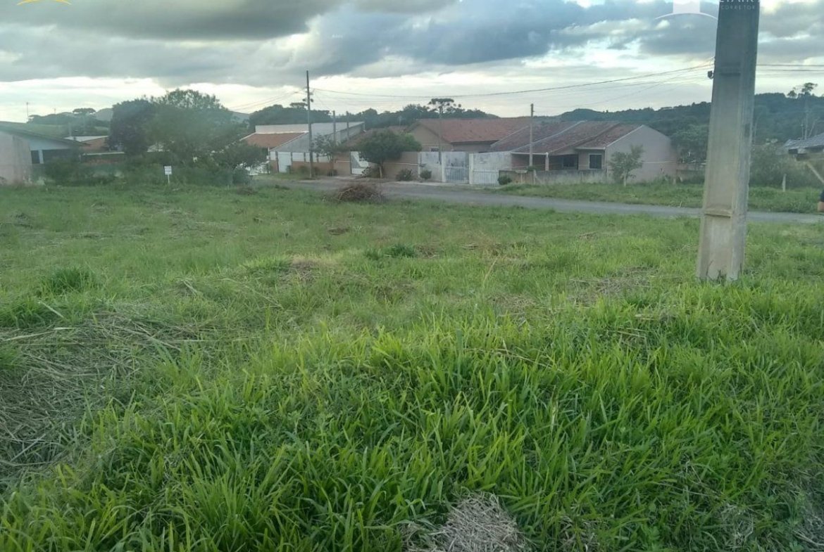 Foto 2 de Terreno à Venda em Tijucas do Sul SC - Bairro Centro - Altair Mansur Imóveis