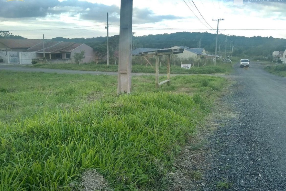Foto 6 de Terreno à Venda em Tijucas do Sul SC - Bairro Centro - Altair Mansur Imóveis