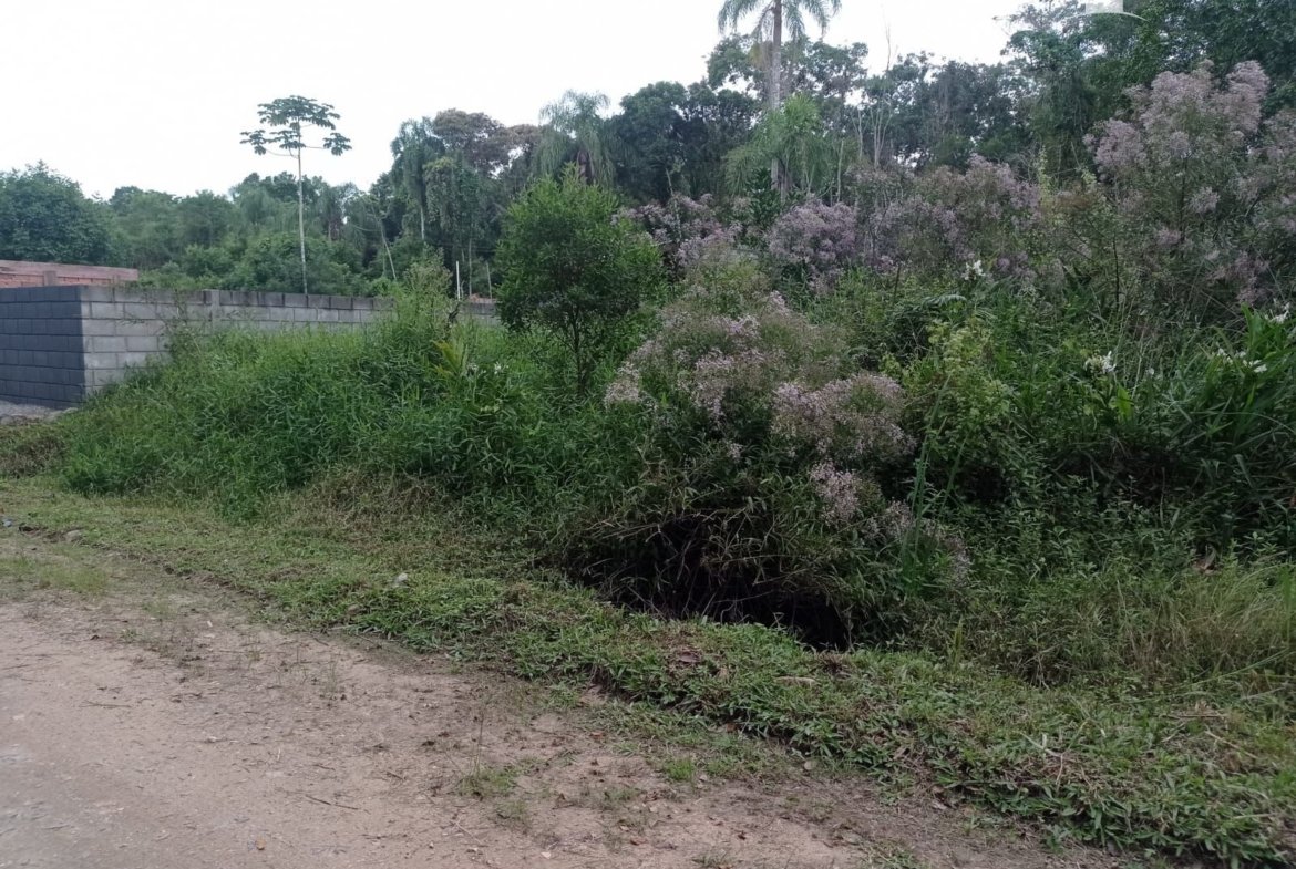 Foto 4 de Terreno à Venda em São Francisco do Sul SC - Bairro Vila da Glória - Altair Mansur Imóveis