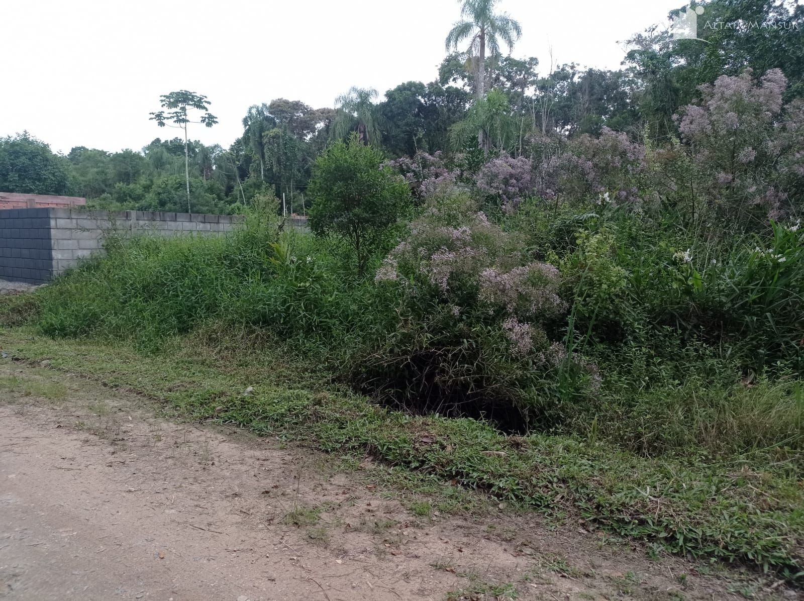 Foto 4 de Terreno à Venda em São Francisco do Sul SC - Bairro Vila da Glória - Altair Mansur Imóveis