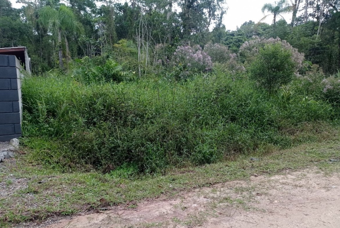 Foto 5 de Terreno à Venda em São Francisco do Sul SC - Bairro Vila da Glória - Altair Mansur Imóveis