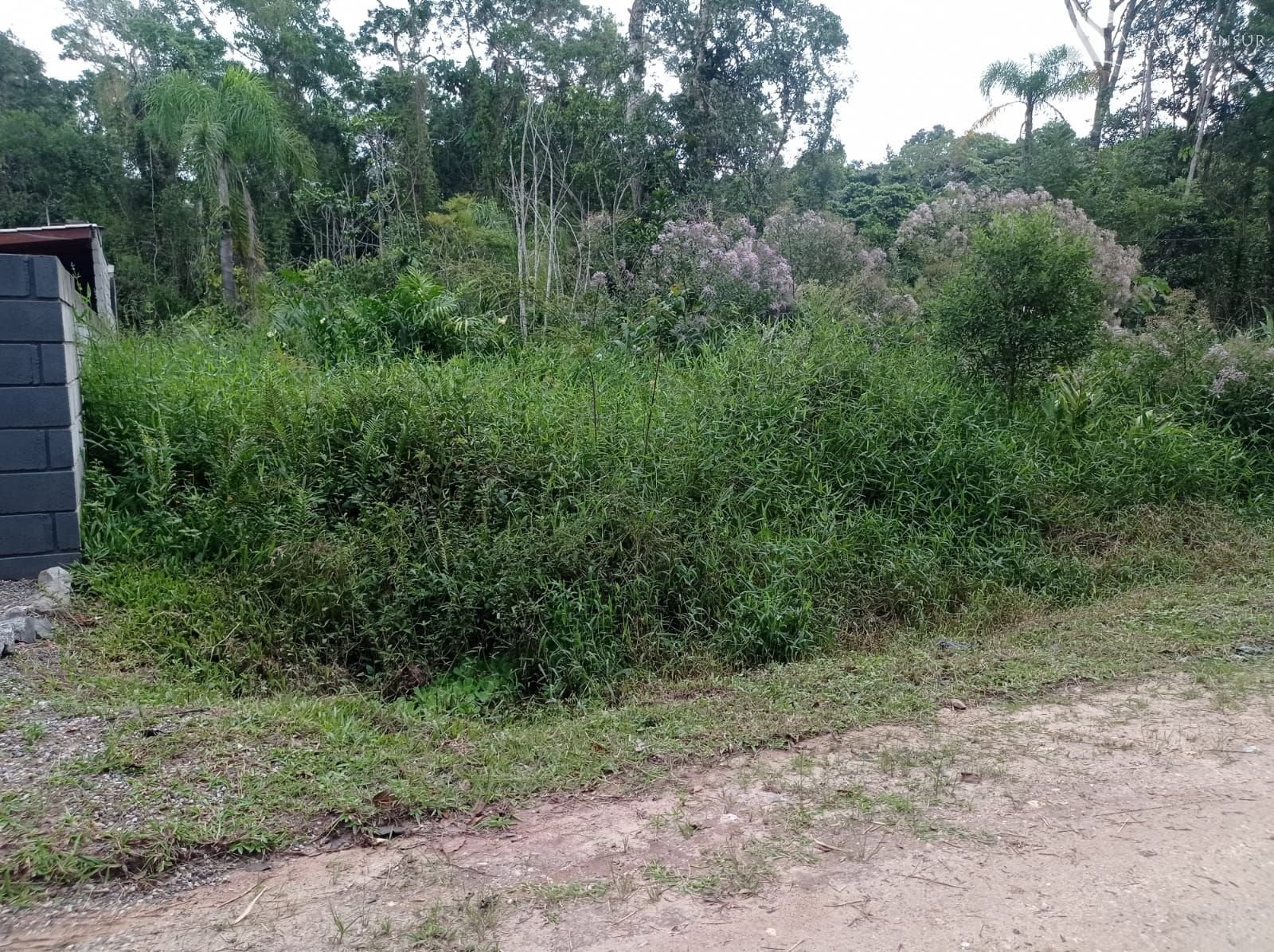 Foto 5 de Terreno à Venda em São Francisco do Sul SC - Bairro Vila da Glória - Altair Mansur Imóveis