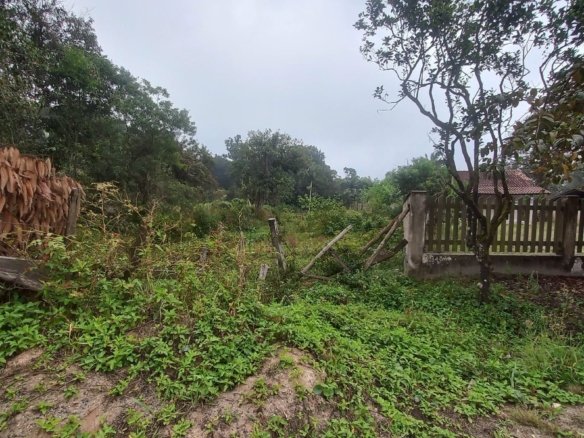 Foto 1 de Terreno à Venda em São Francisco do Sul SC - Bairro Vila da Glória - Altair Mansur Imóveis