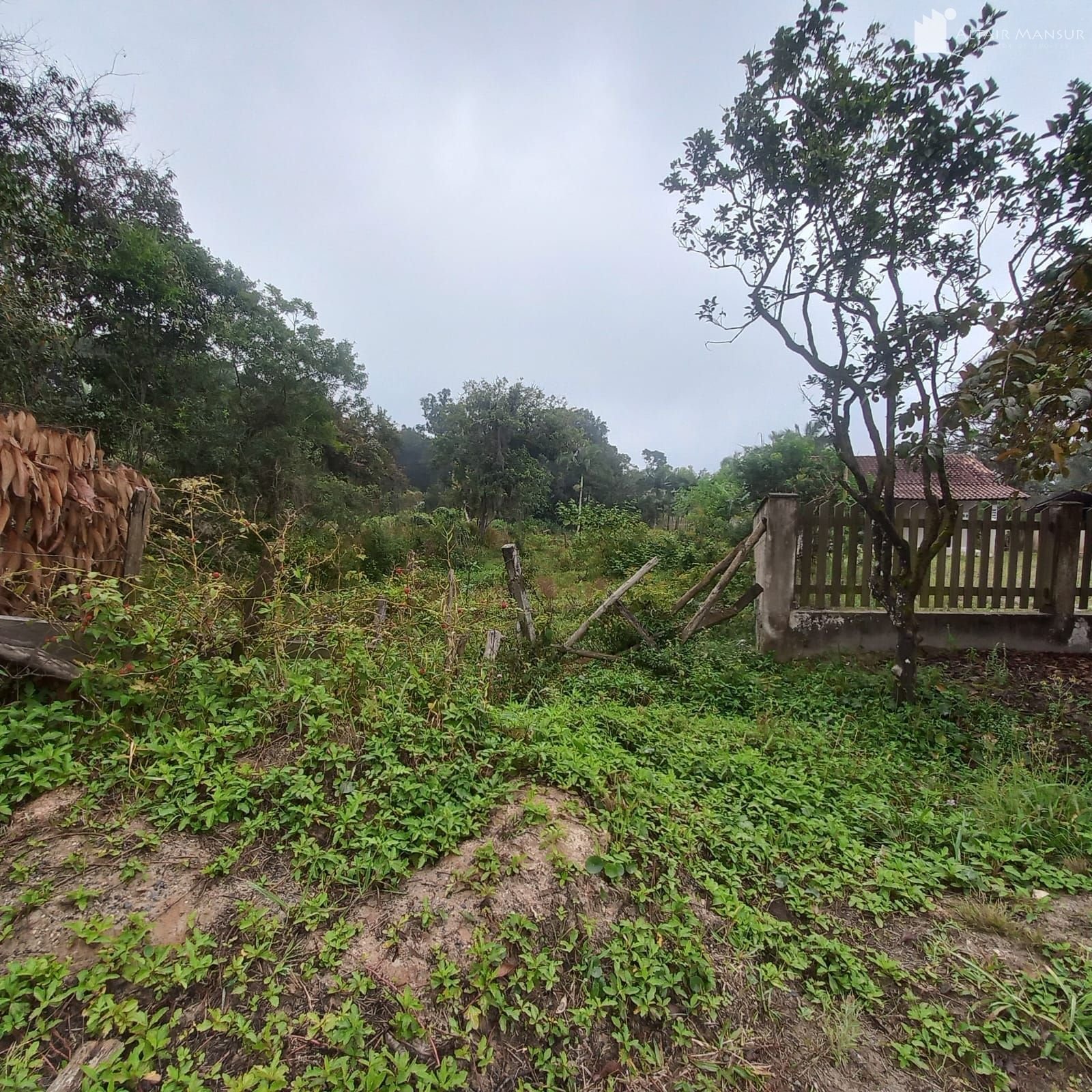 Foto 1 de Terreno à Venda em São Francisco do Sul SC - Bairro Vila da Glória - Altair Mansur Imóveis
