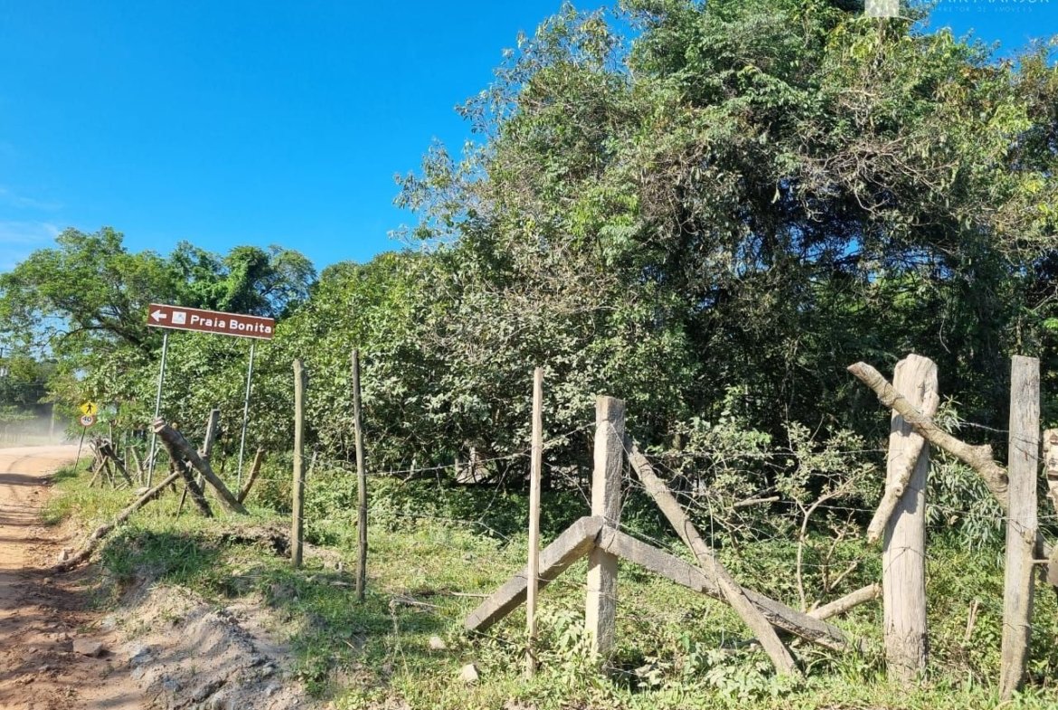 Foto 3 de Terreno à Venda em São Francisco do Sul SC - Bairro Vila da Glória - Altair Mansur Imóveis