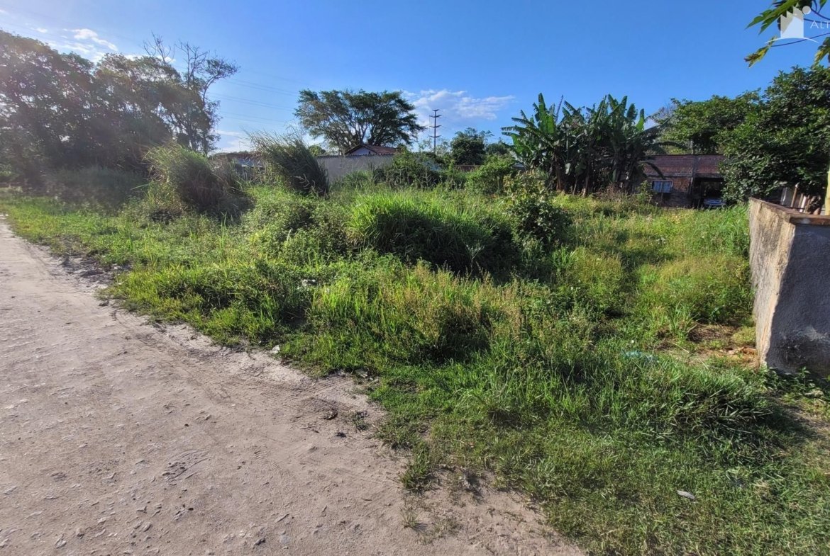 Foto 3 de Terreno à Venda em Itapoá SC - Bairro Itapoá - Altair Mansur Imóveis