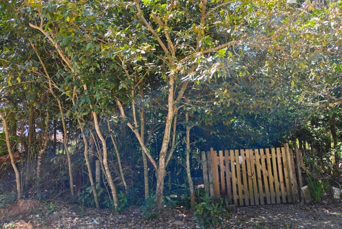 Foto 2 de Terreno à Venda em Itapoá SC - Bairro Continental - Altair Mansur Imóveis