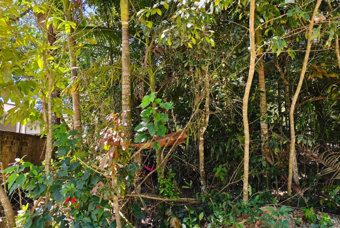 Foto 3 de Terreno à Venda em Itapoá SC - Bairro Continental - Altair Mansur Imóveis