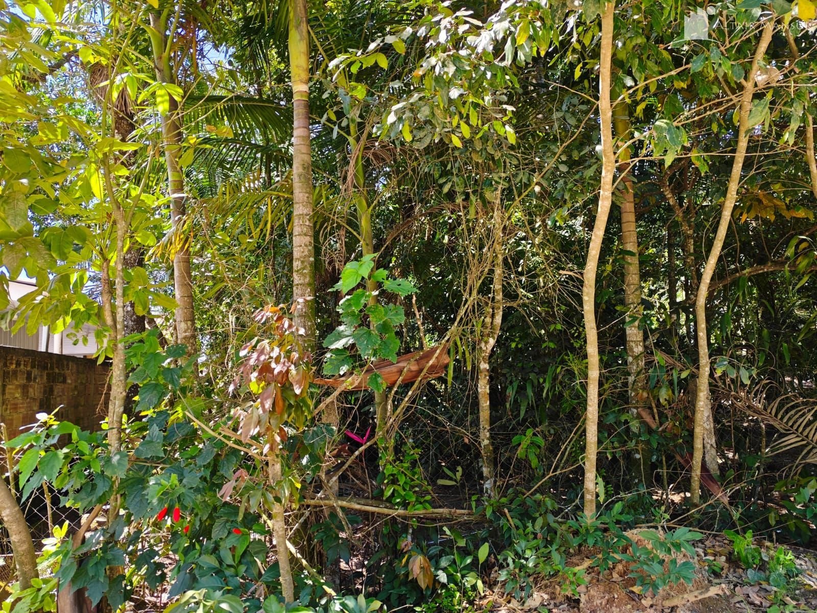 Terreno à Venda em Itapoá SC – Continental – Foto 3 | Altair Mansur Imóveis Foto 3 de Terreno à Venda em Itapoá SC - Bairro Continental - Altair Mansur Imóveis