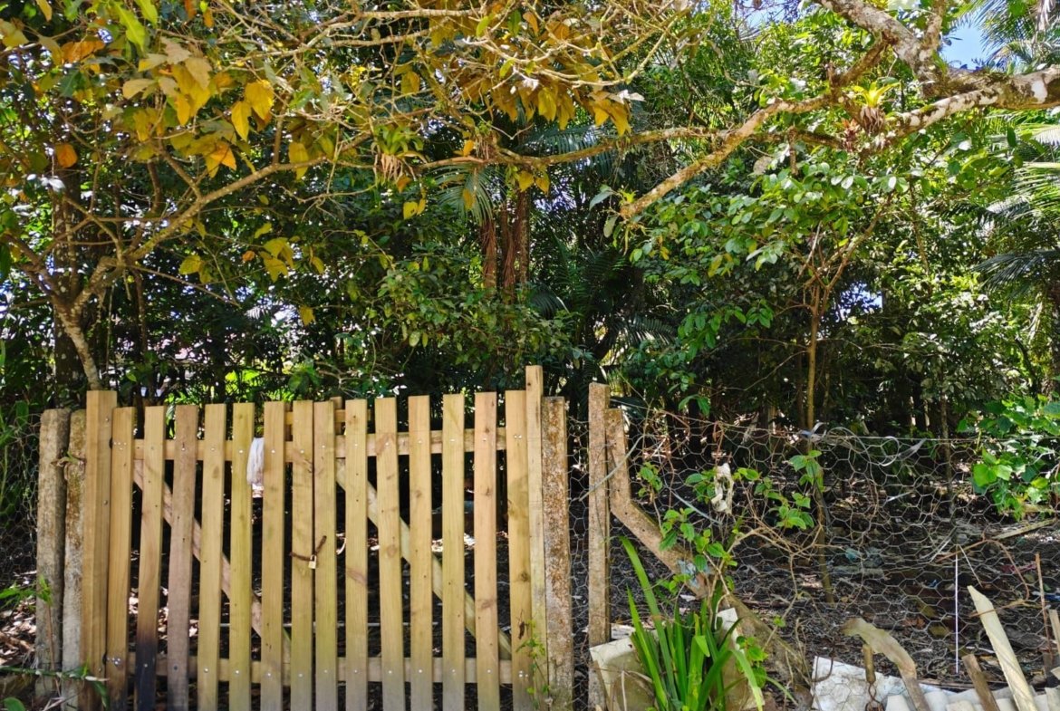 Foto 4 de Terreno à Venda em Itapoá SC - Bairro Continental - Altair Mansur Imóveis