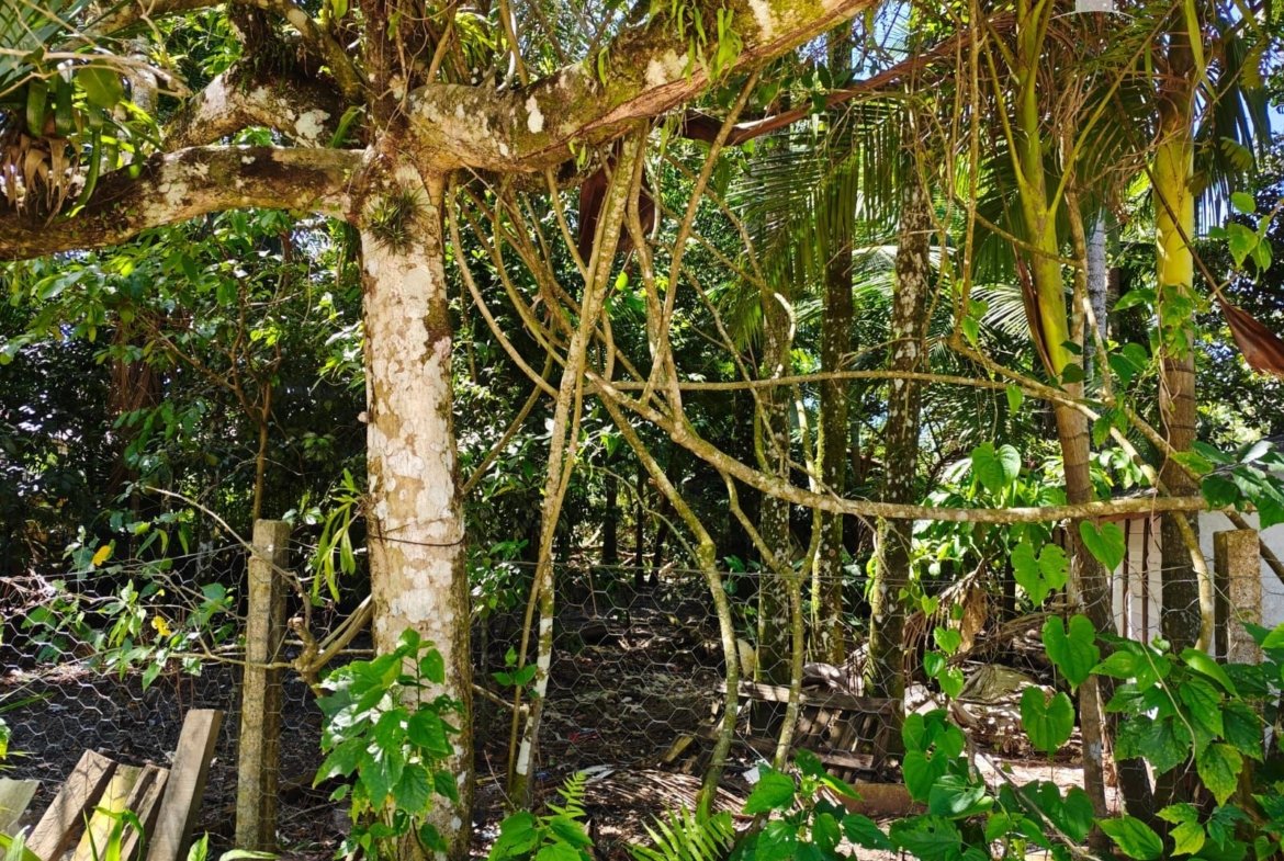 Foto 6 de Terreno à Venda em Itapoá SC - Bairro Continental - Altair Mansur Imóveis