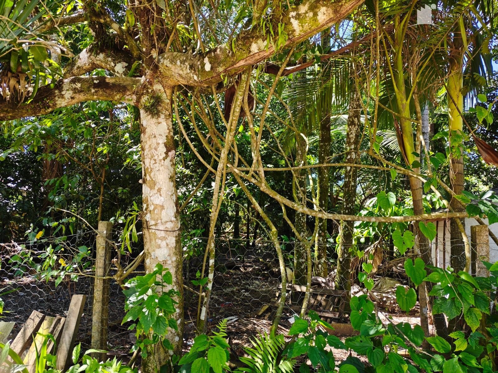 Terreno à Venda em Itapoá SC – Continental – Foto 6 | Altair Mansur Imóveis Foto 6 de Terreno à Venda em Itapoá SC - Bairro Continental - Altair Mansur Imóveis